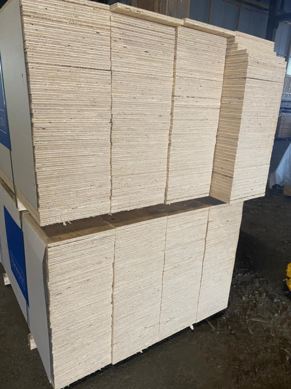Plywood (12mm) 12x300x2500